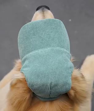 Verstelbare Hond Pet – Ademend Zonnehoedje met Oorgaten