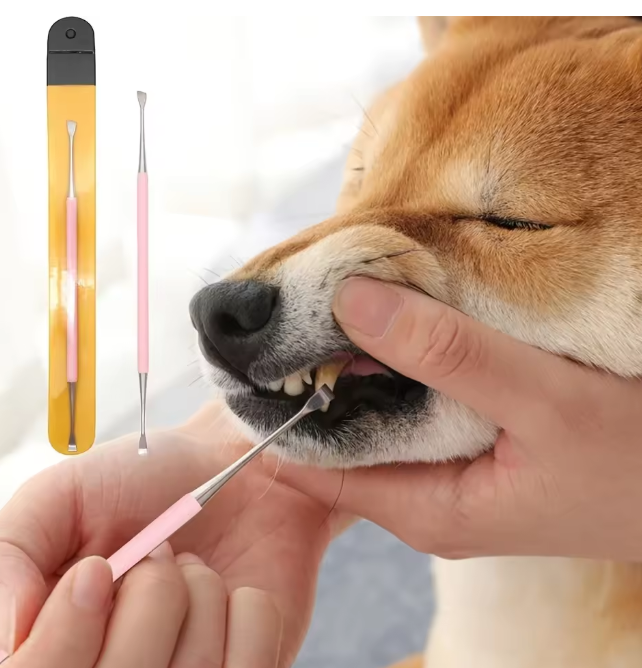 Hond Tandsteen Verwijderaar – RVS Tandreiniger & Schraper Kit
