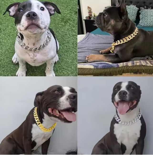 Luxe Hond & Kat Halsband – ABS Ketting met Diamantlook, Lichtgewicht & Comfortabel