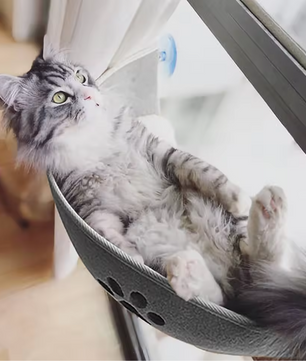 Kattenraambed Hangmat – Comfortabele Vensterligstoel met Zuignappen, Inclusief Kussen