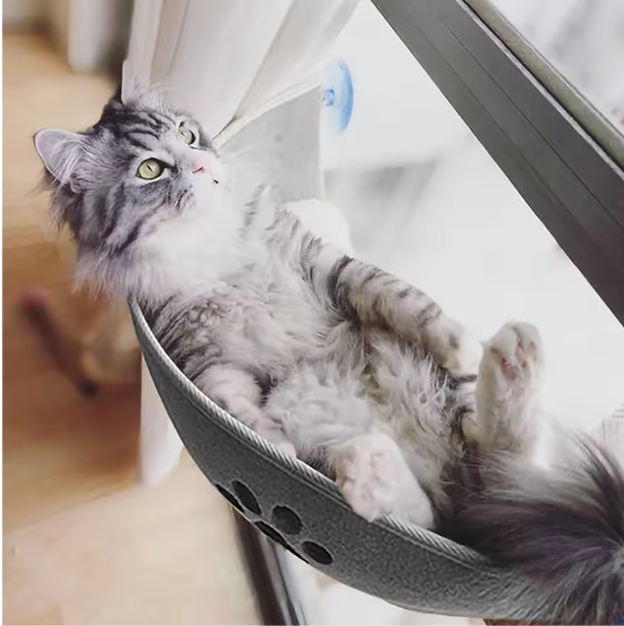 Kattenraambed Hangmat – Comfortabele Vensterligstoel met Zuignappen, Inclusief Kussen