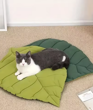 Kattenbed Bladvorm – Zachte Antislip Slaapmat & Wasbaar Huisdierkleed