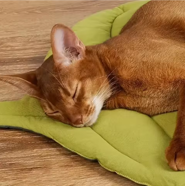 Kattenbed Bladvorm – Zachte Antislip Slaapmat & Wasbaar Huisdierkleed