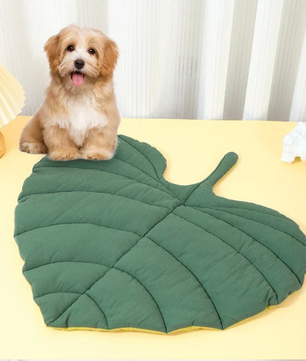 Kattenbed Bladvorm – Zachte Antislip Slaapmat & Wasbaar Huisdierkleed