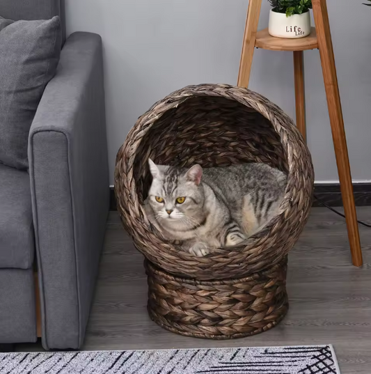 Rotan Kattenmand met Kussen – Verhoogd Kattennest & Comfortabel Huisdierbed