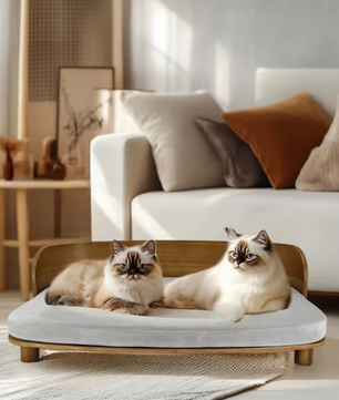 Verhoogd Houten Kattenbed – Comfortabele Loungebank met Kussen