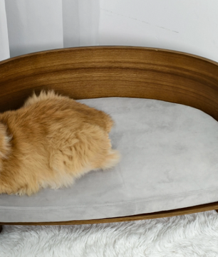 Verhoogd Houten Kattenbed – Comfortabele Loungebank met Kussen
