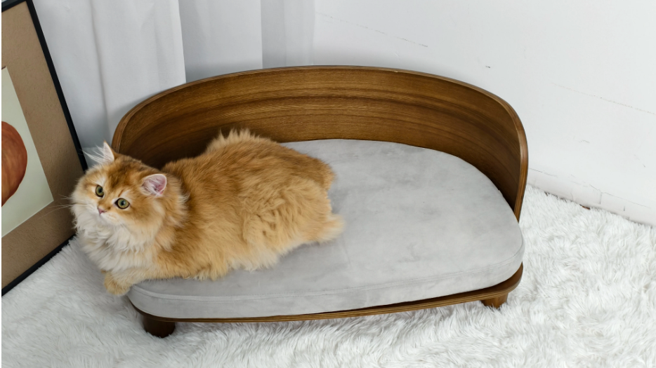 Verhoogd Houten Kattenbed – Comfortabele Loungebank met Kussen