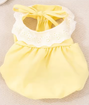Kattenjurk met Kant – Zachte Zomer Prinses Rok voor Katten & Kleine Honden