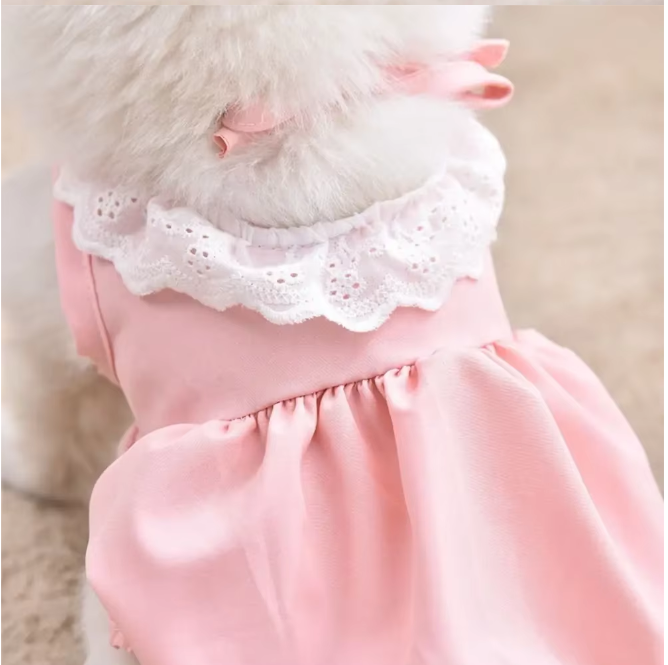 Kattenjurk met Kant – Zachte Zomer Prinses Rok voor Katten & Kleine Honden