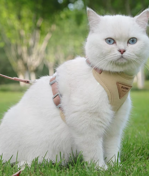 Ademend Nylon Harnas met Riem – Comfortabel Vest voor Katten & Kleine Honden