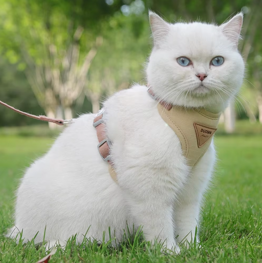 Ademend Nylon Harnas met Riem – Comfortabel Vest voor Katten & Kleine Honden