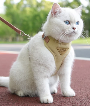Ademend Nylon Harnas met Riem – Comfortabel Vest voor Katten & Kleine Honden