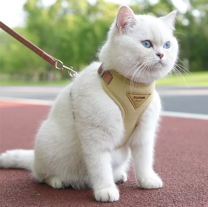 Ademend Nylon Harnas met Riem – Comfortabel Vest voor Katten & Kleine Honden