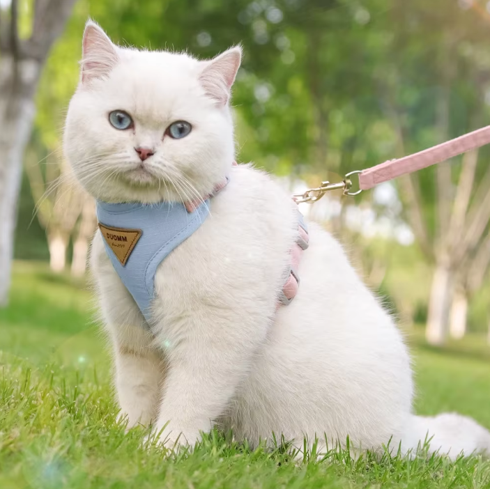 Ademend Nylon Harnas met Riem – Comfortabel Vest voor Katten & Kleine Honden