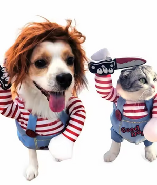 Grappig Huisdierkostuum – Cosplay Party Outfit met Hoed & Accessoires