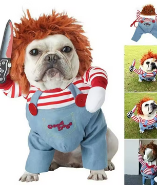Grappig Huisdierkostuum – Cosplay Party Outfit met Hoed & Accessoires
