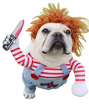 Grappig Huisdierkostuum – Cosplay Party Outfit met Hoed & Accessoires