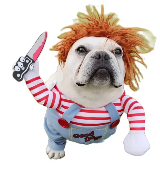 Grappig Huisdierkostuum – Cosplay Party Outfit met Hoed & Accessoires