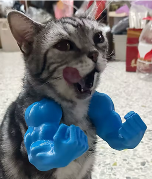 Grappig Kattenkostuum Spierarm – 3D Cosplay Accessoire voor Feest & Halloween