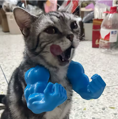 Grappig Kattenkostuum Spierarm – 3D Cosplay Accessoire voor Feest & Halloween
