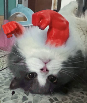 Grappig Kattenkostuum Spierarm – 3D Cosplay Accessoire voor Feest & Halloween