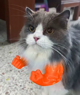 Grappig Kattenkostuum Spierarm – 3D Cosplay Accessoire voor Feest & Halloween