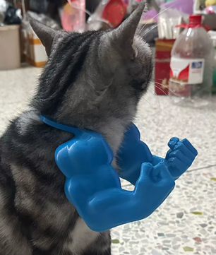 Grappig Kattenkostuum Spierarm – 3D Cosplay Accessoire voor Feest & Halloween