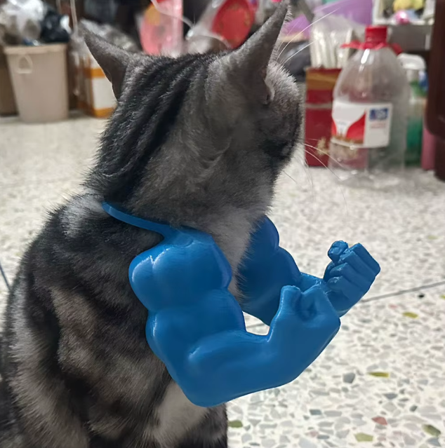 Grappig Kattenkostuum Spierarm – 3D Cosplay Accessoire voor Feest & Halloween