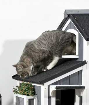 2-laags Houten Kattenhuis – Weerbestendig Buitenhuis met Asfaltdak & Meerdere Ingangen