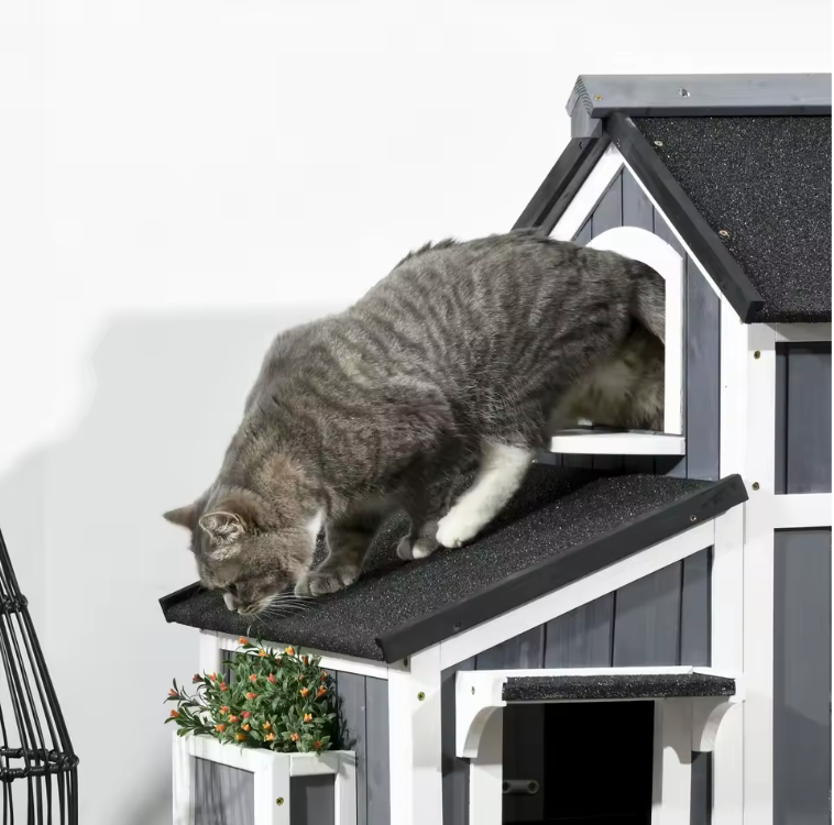 2-laags Houten Kattenhuis – Weerbestendig Buitenhuis met Asfaltdak & Meerdere Ingangen
