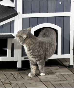 2-laags Houten Kattenhuis – Weerbestendig Buitenhuis met Asfaltdak & Meerdere Ingangen
