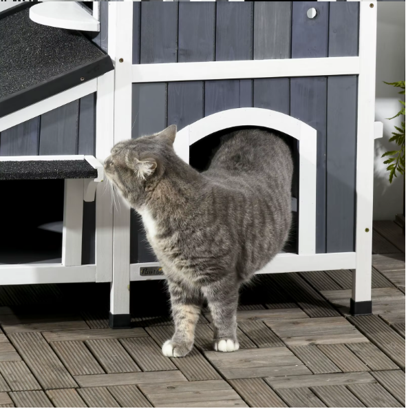 2-laags Houten Kattenhuis – Weerbestendig Buitenhuis met Asfaltdak & Meerdere Ingangen
