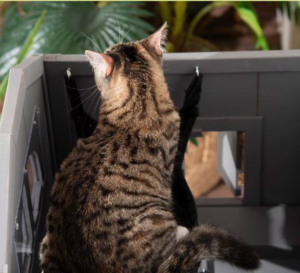 Kattenhuis met Asfaltdak – 2 Verdiepingen, Trap & Hangmat, Voor Binnen en Buiten
