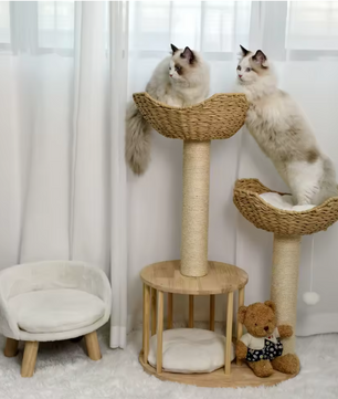 Krabpaal 99 cm – Multi-Level Activiteitentoren met Kattenhuis & Speelbal