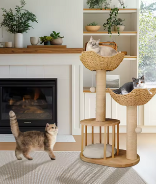 Krabpaal 99 cm – Multi-Level Activiteitentoren met Kattenhuis & Speelbal