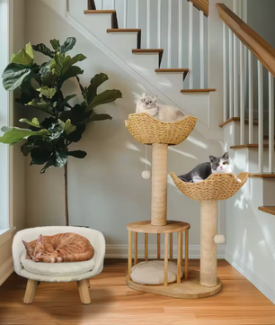 Krabpaal 99 cm – Multi-Level Activiteitentoren met Kattenhuis & Speelbal