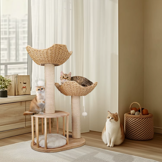 Krabpaal 99 cm – Multi-Level Activiteitentoren met Kattenhuis & Speelbal