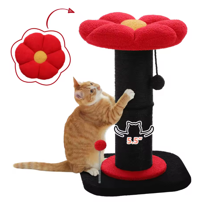 Bloem Krabpaal voor Katten – Compacte Krabpaal met Dikke Sisalpaal, Hangspeeltjes & Comfortabel Kattenbed