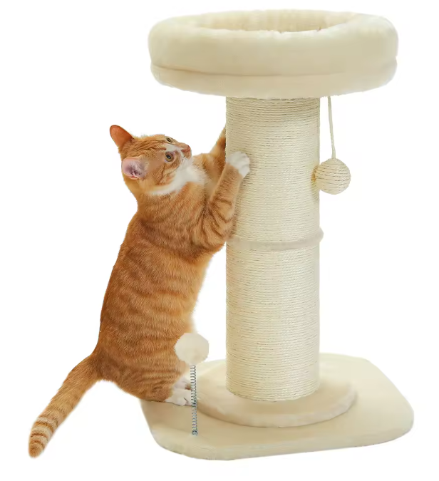 Bloem Krabpaal voor Katten – Compacte Krabpaal met Dikke Sisalpaal, Hangspeeltjes & Comfortabel Kattenbed