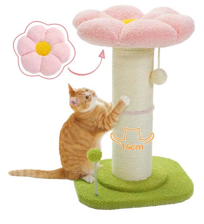 Bloem Krabpaal voor Katten – Compacte Krabpaal met Dikke Sisalpaal, Hangspeeltjes & Comfortabel Kattenbed