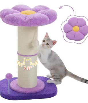 Bloem Krabpaal voor Katten – Compacte Krabpaal met Dikke Sisalpaal, Hangspeeltjes & Comfortabel Kattenbed
