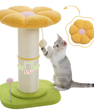 Bloem Krabpaal voor Katten – Compacte Krabpaal met Dikke Sisalpaal, Hangspeeltjes & Comfortabel Kattenbed