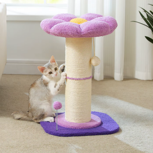 Bloem Krabpaal voor Katten – Compacte Krabpaal met Dikke Sisalpaal, Hangspeeltjes & Comfortabel Kattenbed