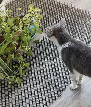 12-delige Anti-Kat Scat Mat Set – Tuin Beschermmatten met Spikes & Kabelbinders, Veilig en Effectief