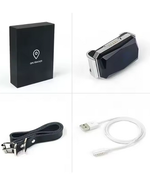 GPS Huisdier Tracker – Waterdichte Slimme Locator met Halsband & App Bediening