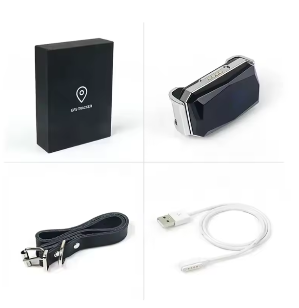 GPS Huisdier Tracker – Waterdichte Slimme Locator met Halsband & App Bediening