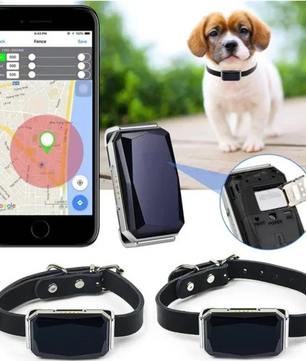GPS Huisdier Tracker – Waterdichte Slimme Locator met Halsband & App Bediening