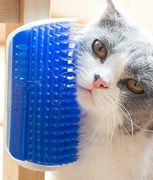 Kattenborstel met Kattenkruid – Hoekborstel & Zelfmassager
