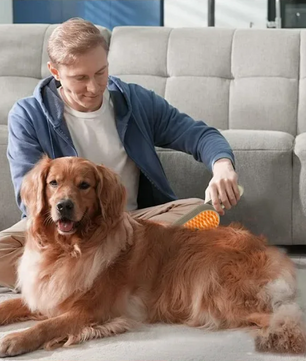 3-in-1 Stoomborstel voor Huisdieren – Verzorging, Ontwarring & Massage